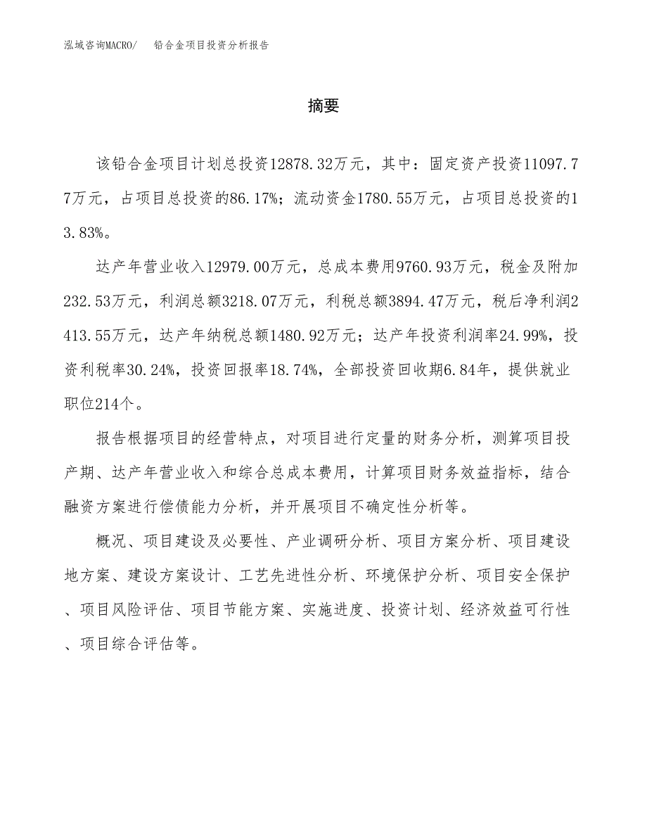 （模板）铅合金项目投资分析报告_第2页