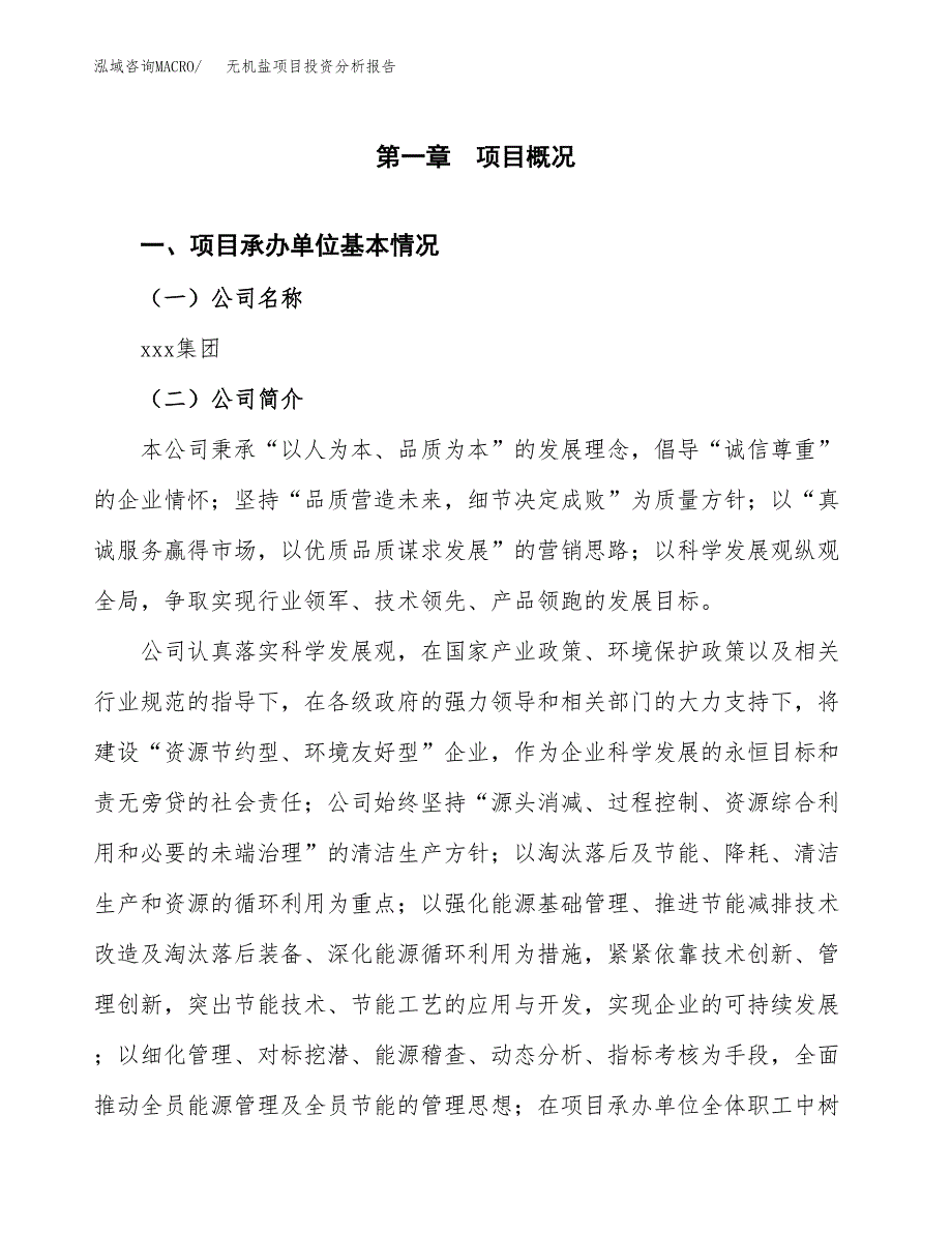 （模板）无机盐项目投资分析报告_第4页