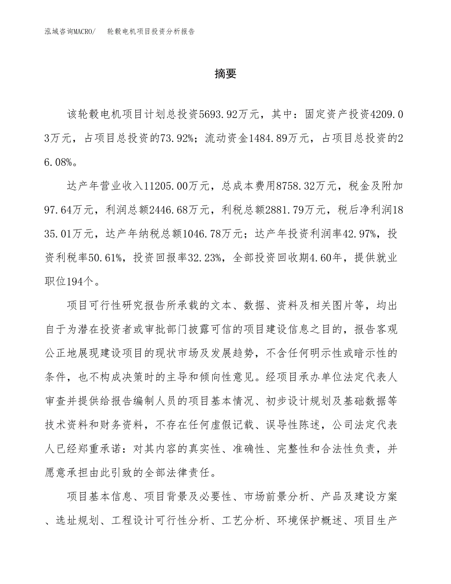 （模板）轮毂电机项目投资分析报告_第2页