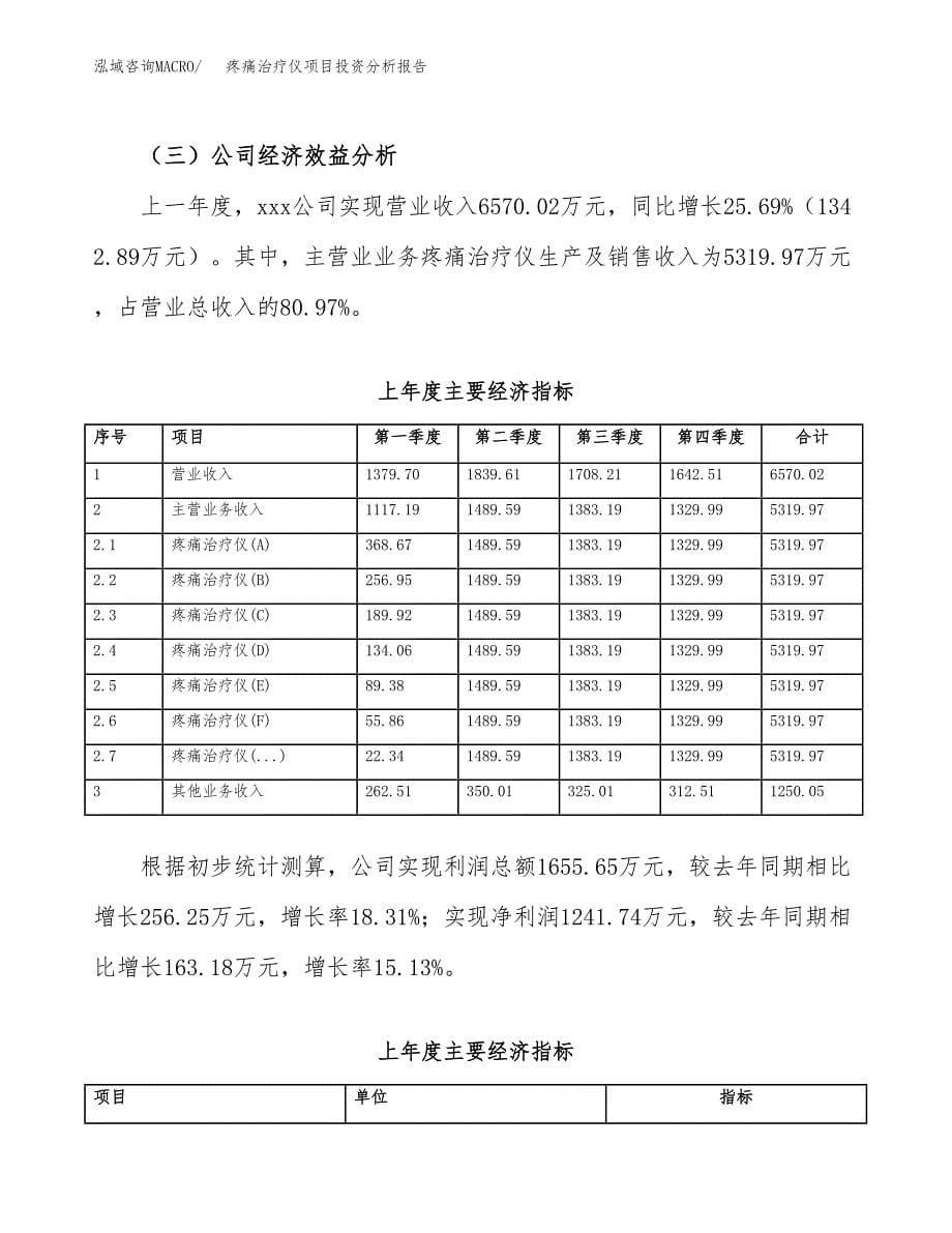 （模板）疼痛治疗仪项目投资分析报告_第5页