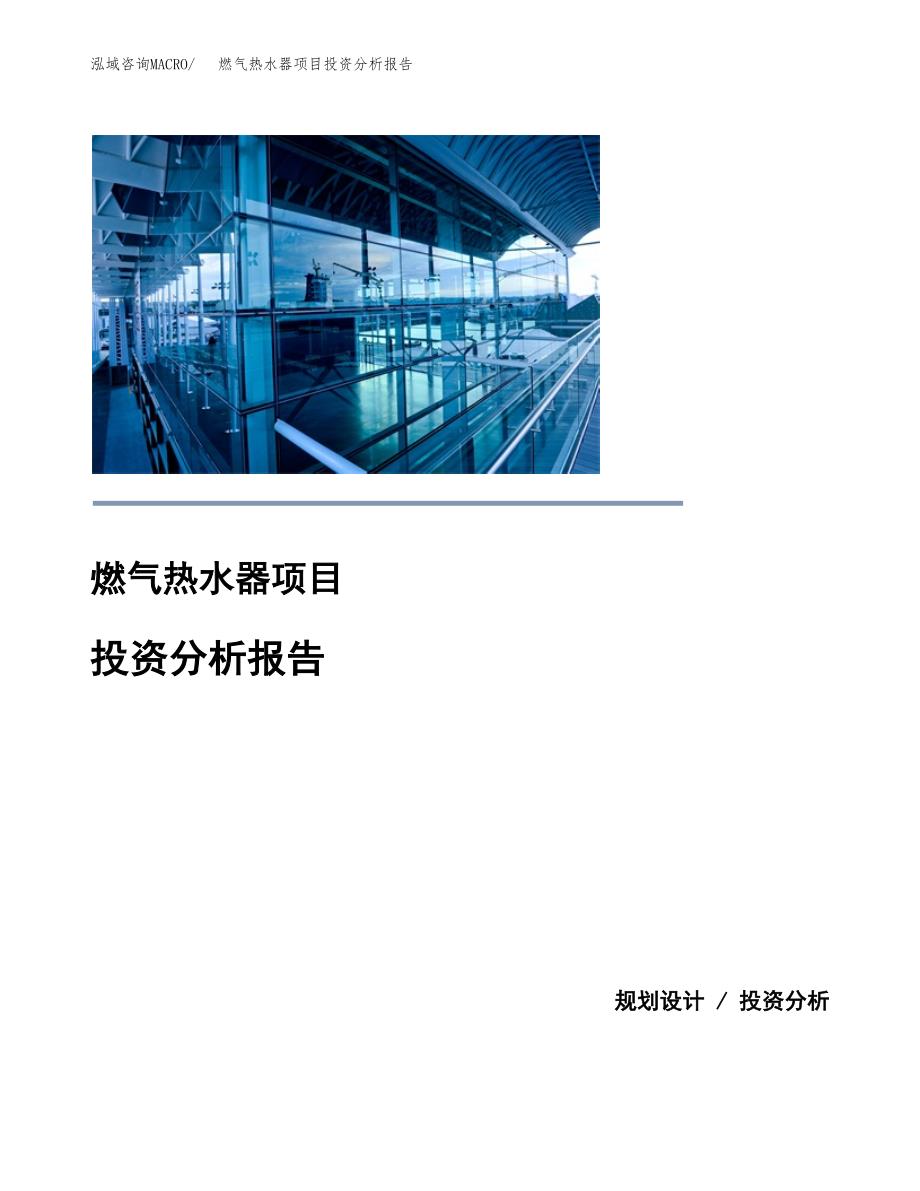 （模板）燃气热水器项目投资分析报告 (1)_第1页