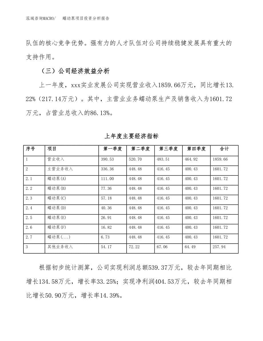 （模板）蠕动泵项目投资分析报告_第5页