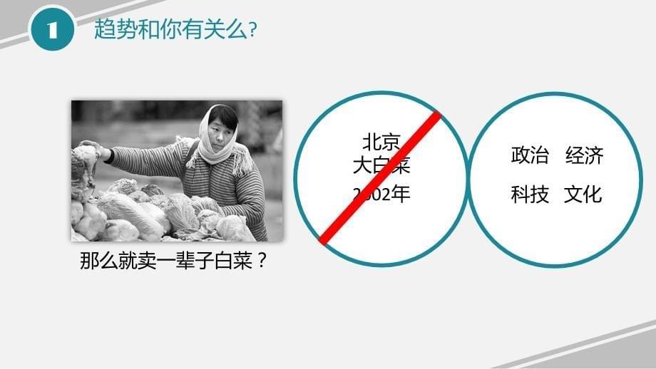 中国电子商务影响力分析_第5页