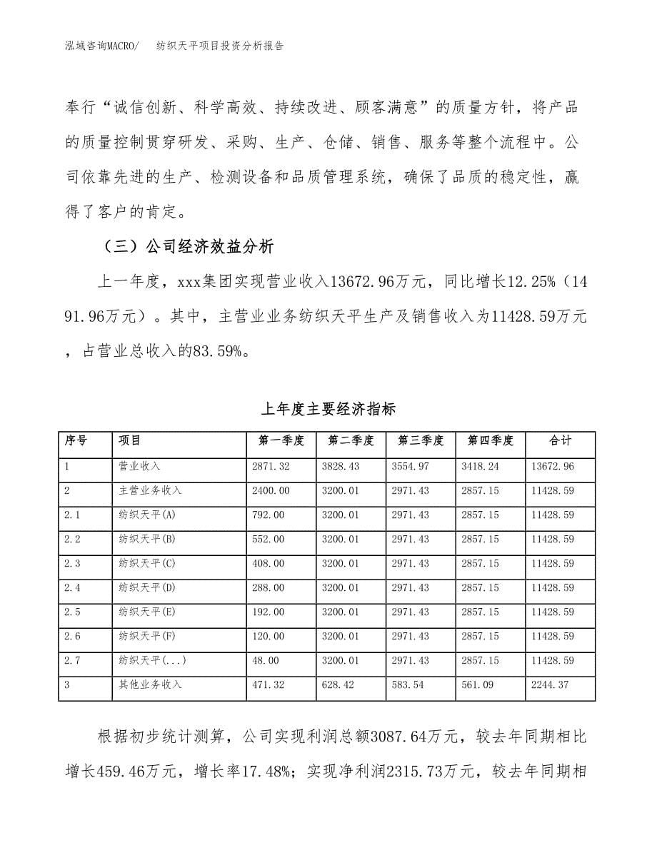 （模板）纺织天平项目投资分析报告_第5页