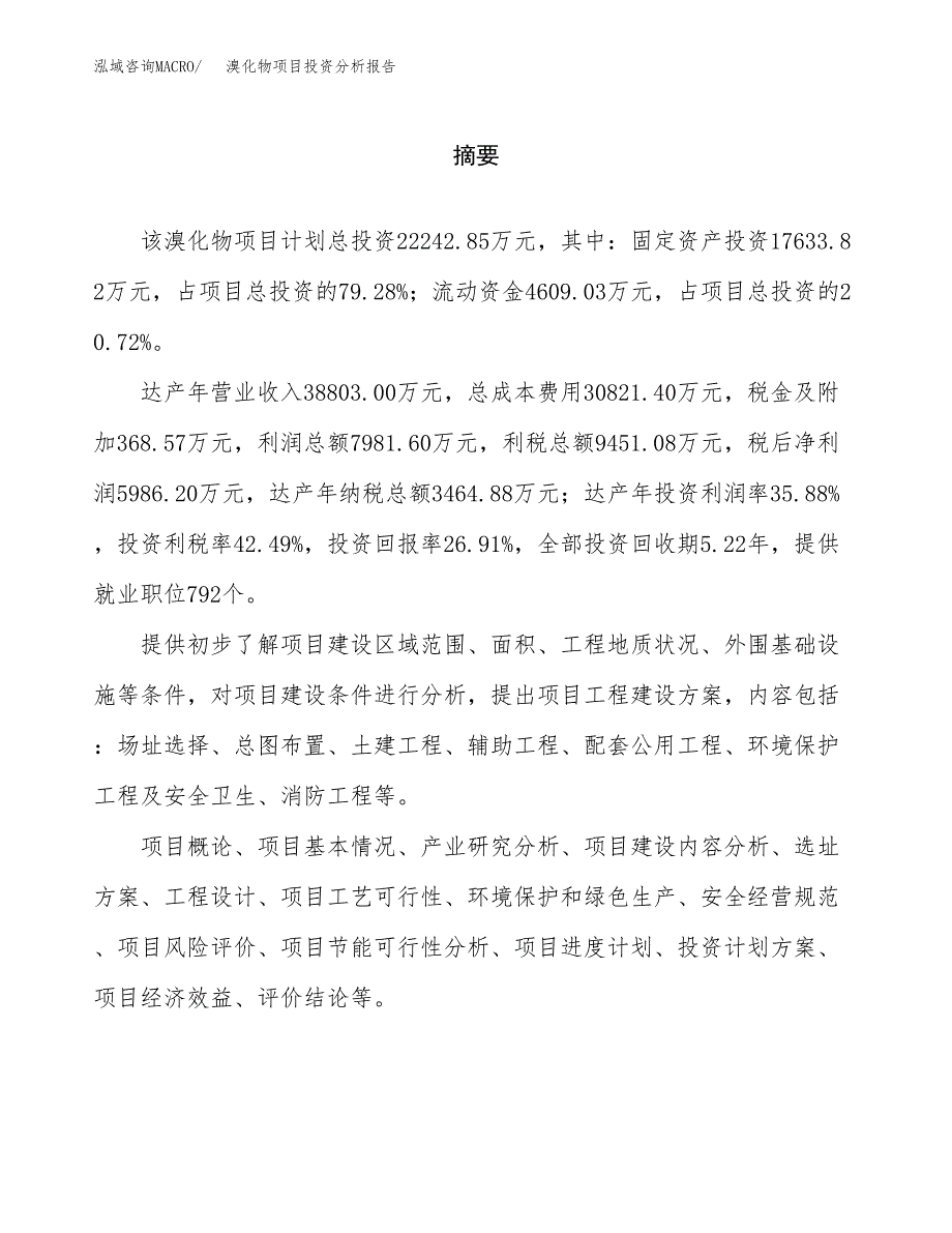 （模板）溴化物项目投资分析报告_第2页