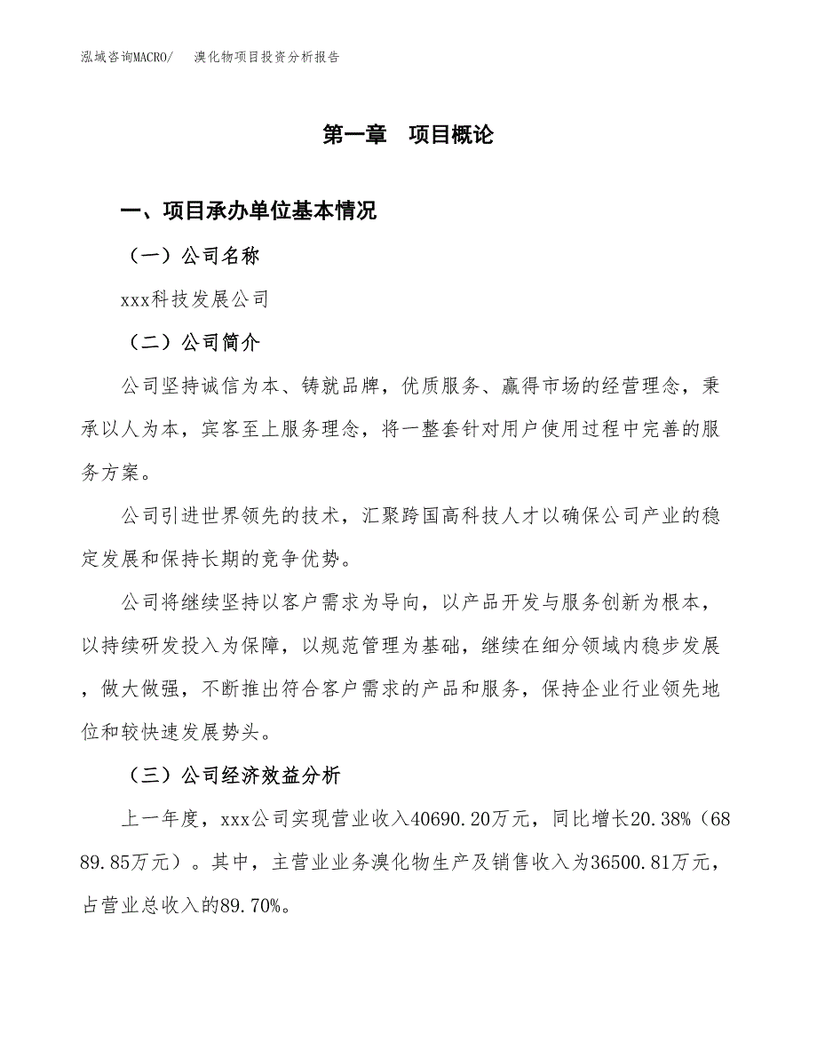 （模板）溴化物项目投资分析报告_第4页