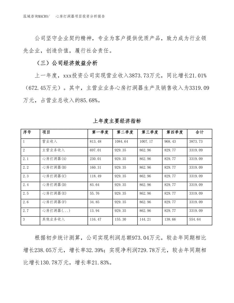 （模板）心房打洞器项目投资分析报告_第5页