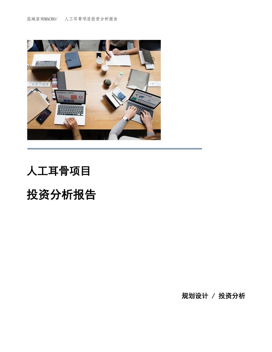 （模板）人工耳骨项目投资分析报告_第1页