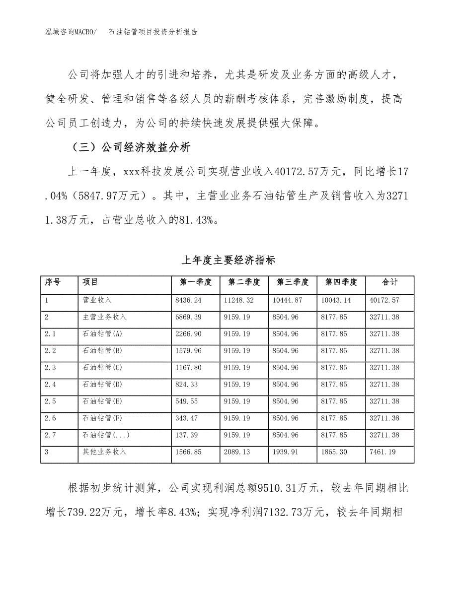 （模板）石油钻管项目投资分析报告_第5页