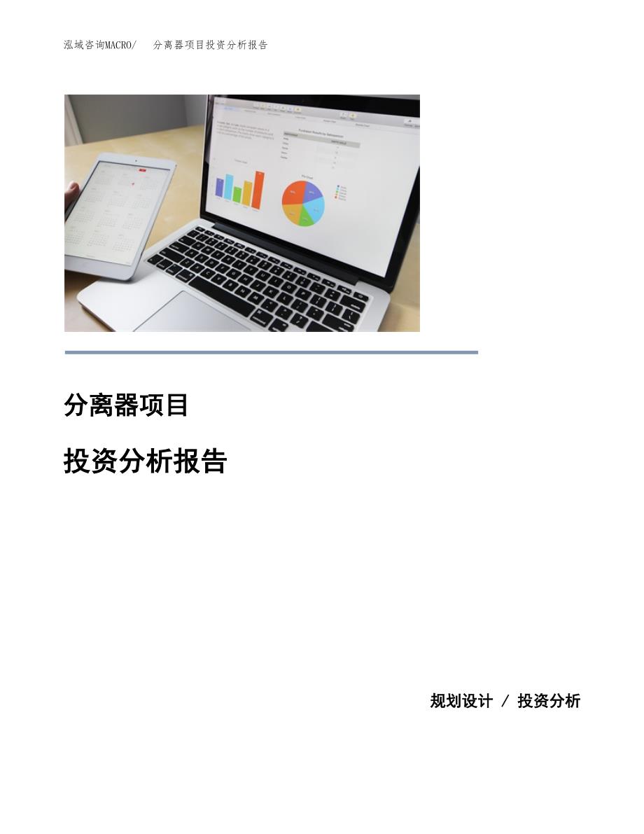 （模板）分离器项目投资分析报告 (1)_第1页