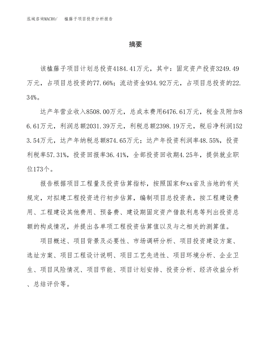 （模板）榼藤子项目投资分析报告_第2页