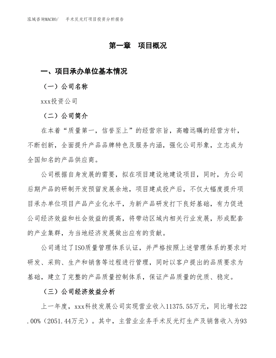 （模板）手术反光灯项目投资分析报告_第4页