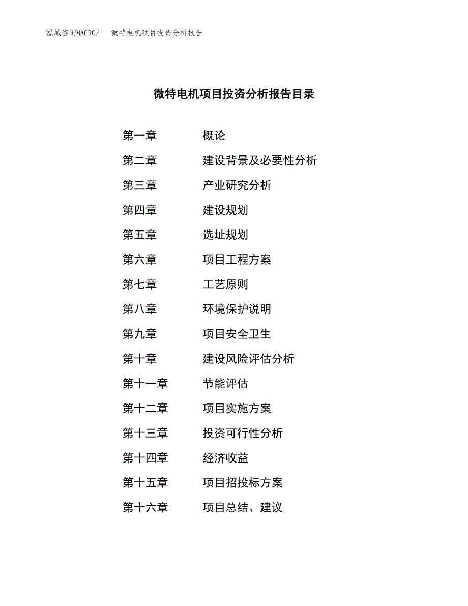 （模板）微特电机项目投资分析报告 (1)_第3页