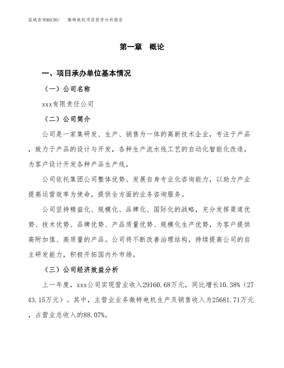 （模板）微特电机项目投资分析报告 (1)_第4页