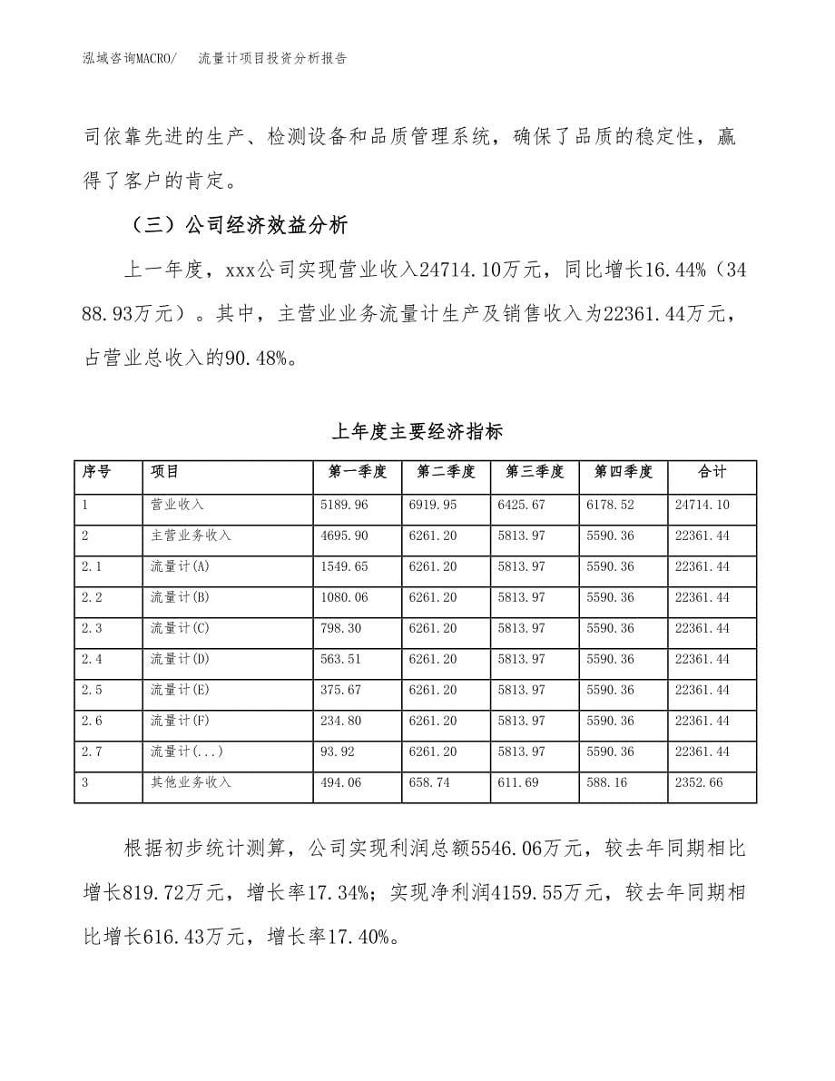 （模板）流量计项目投资分析报告 (1)_第5页