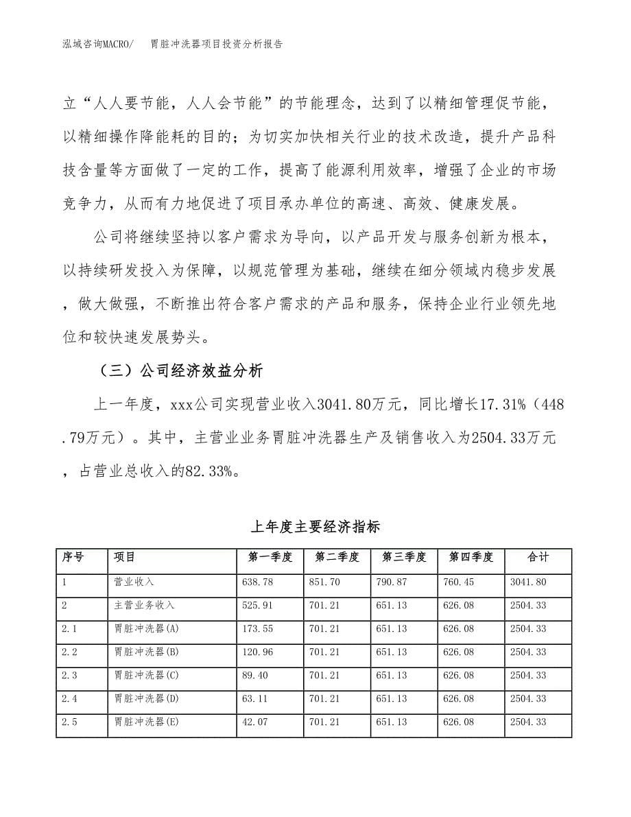 （模板）胃脏冲洗器项目投资分析报告_第5页