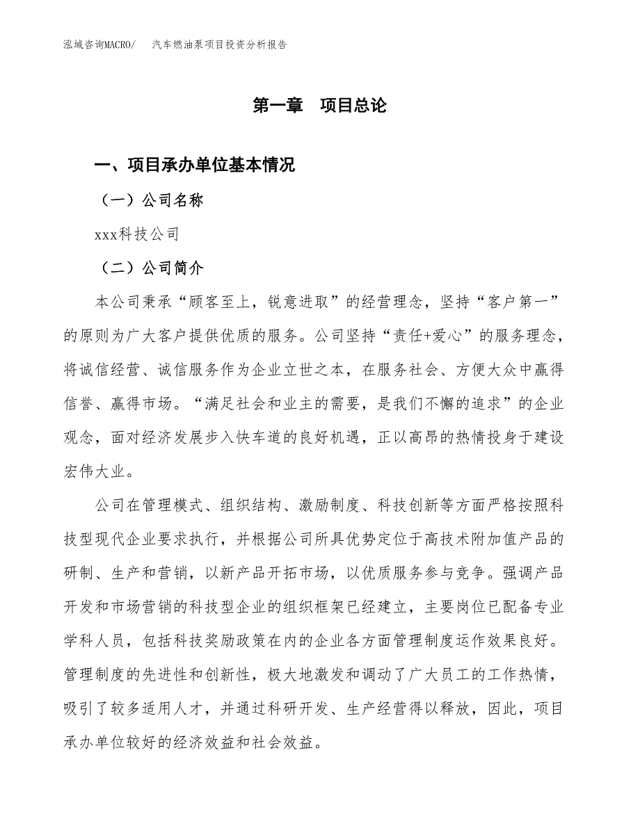 （模板）汽车燃油泵项目投资分析报告_第4页