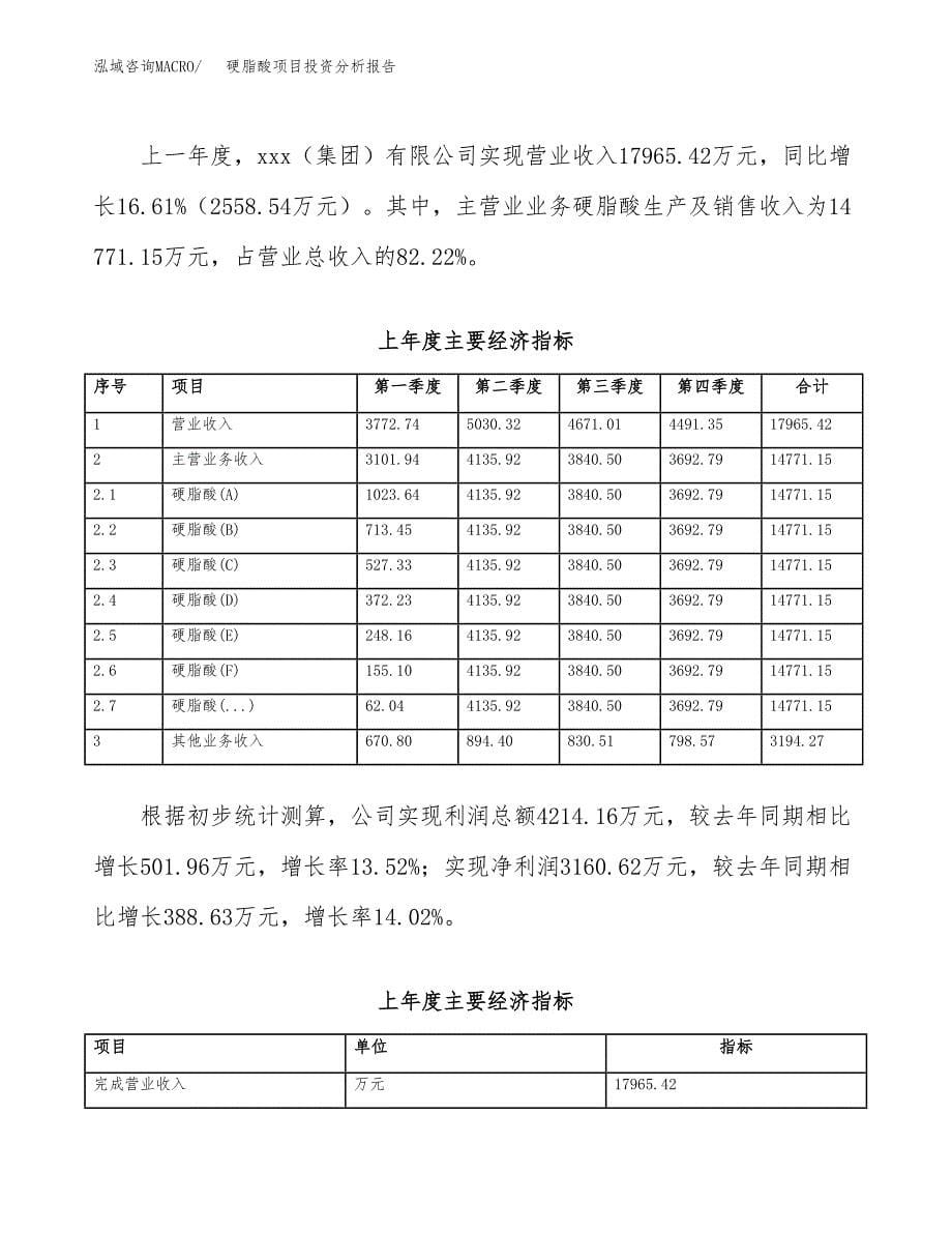 （模板）硬脂酸项目投资分析报告_第5页