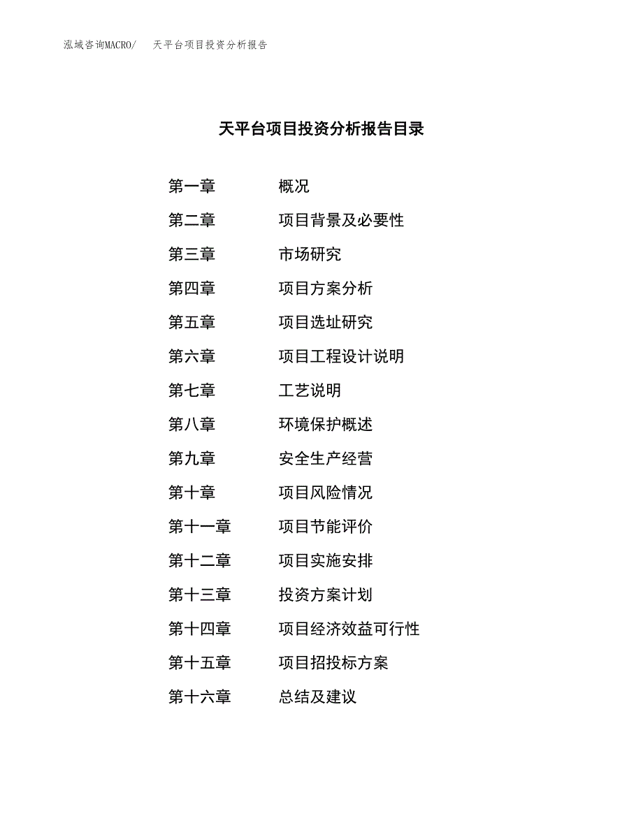 （模板）天平台项目投资分析报告_第3页