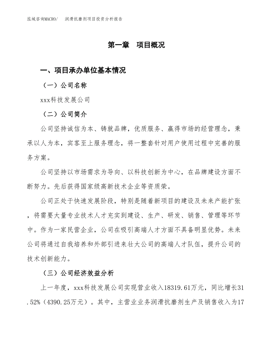 （模板）润滑抗磨剂项目投资分析报告_第4页