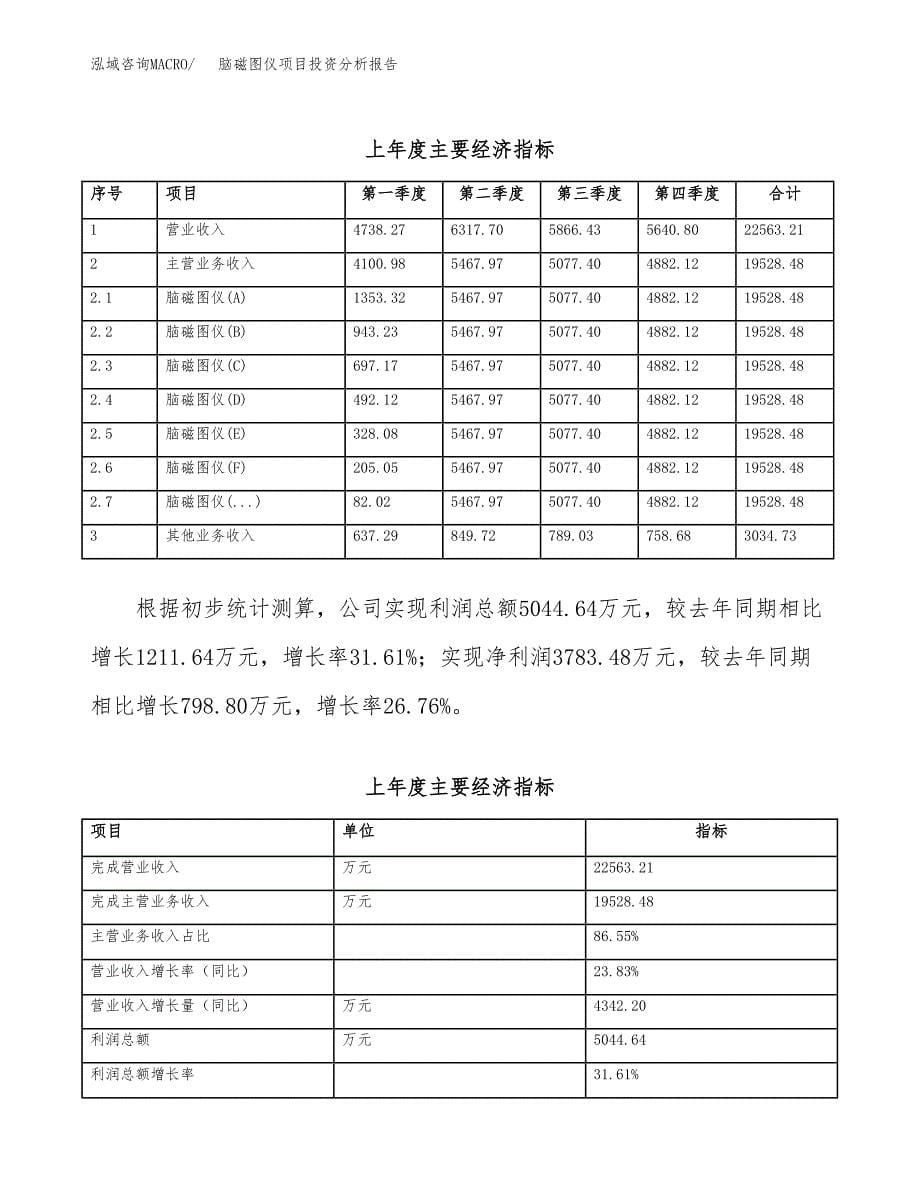 （模板）脑磁图仪项目投资分析报告_第5页