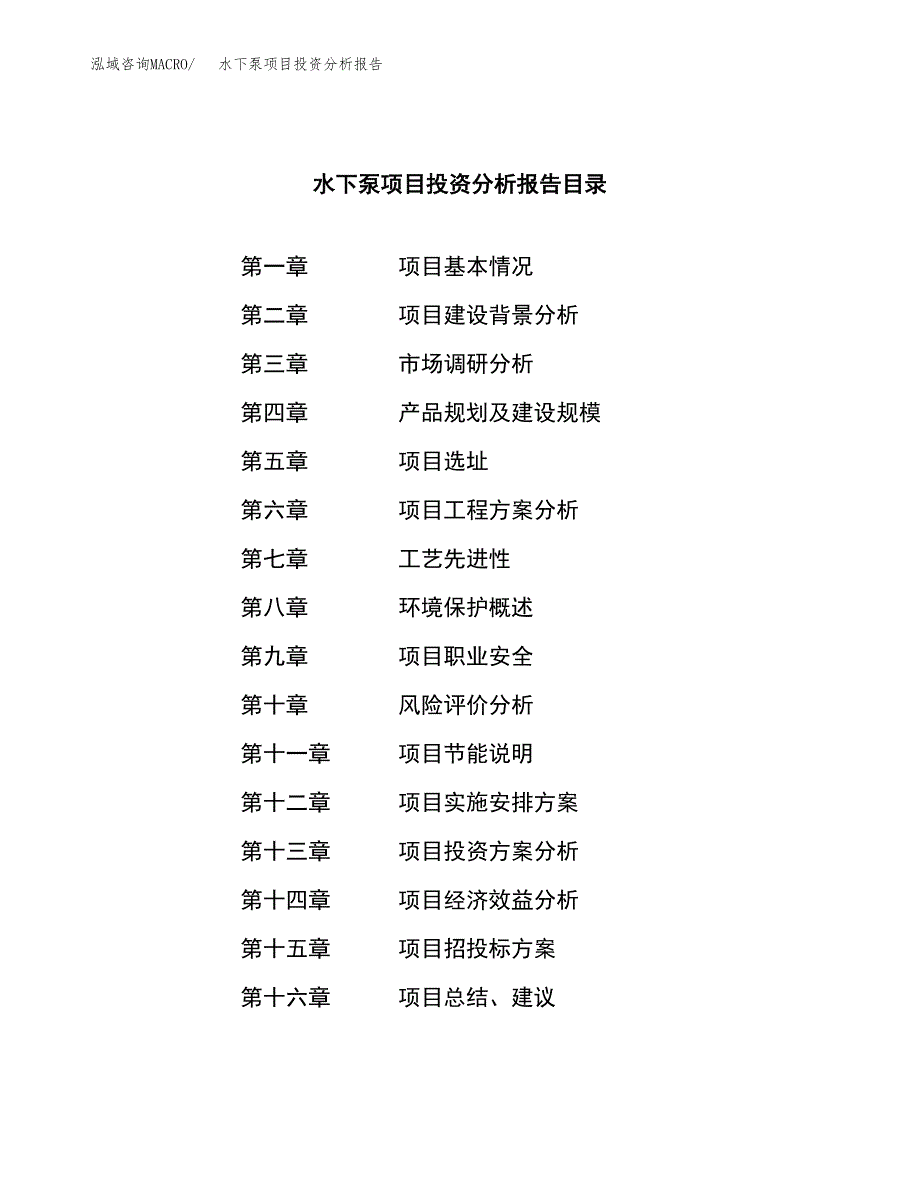 （模板）水下泵项目投资分析报告_第3页