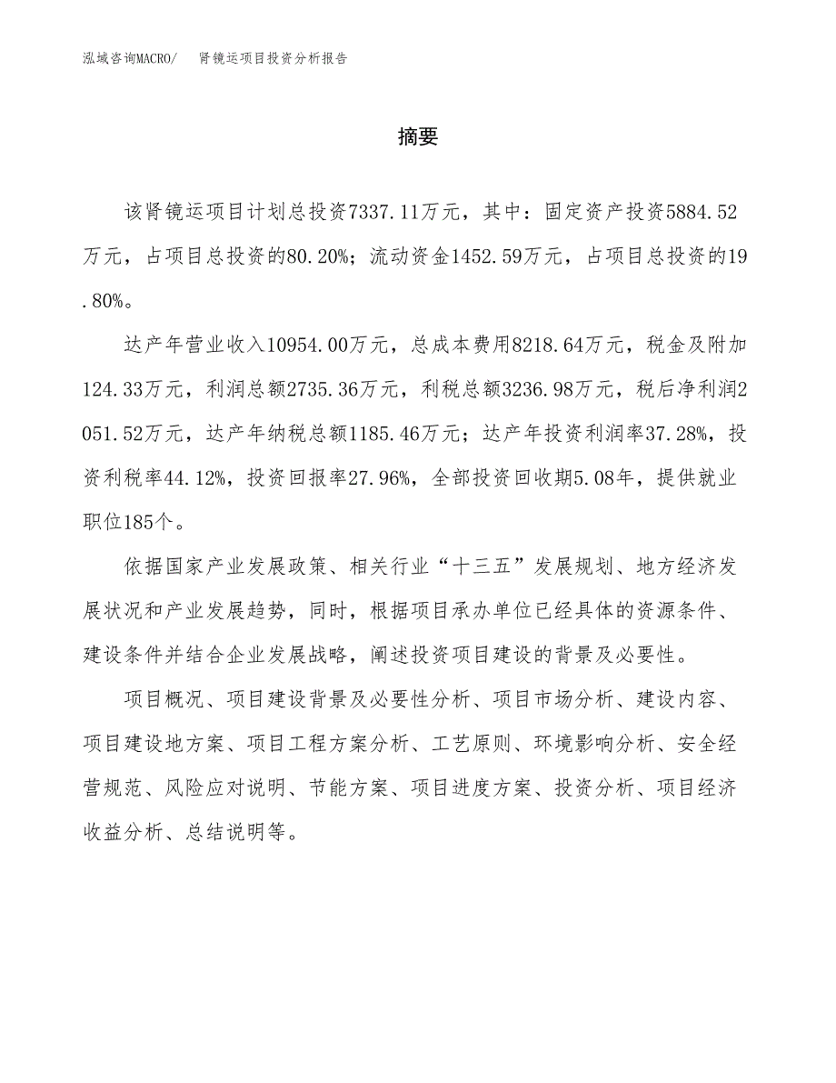 （模板）肾镜运项目投资分析报告_第2页