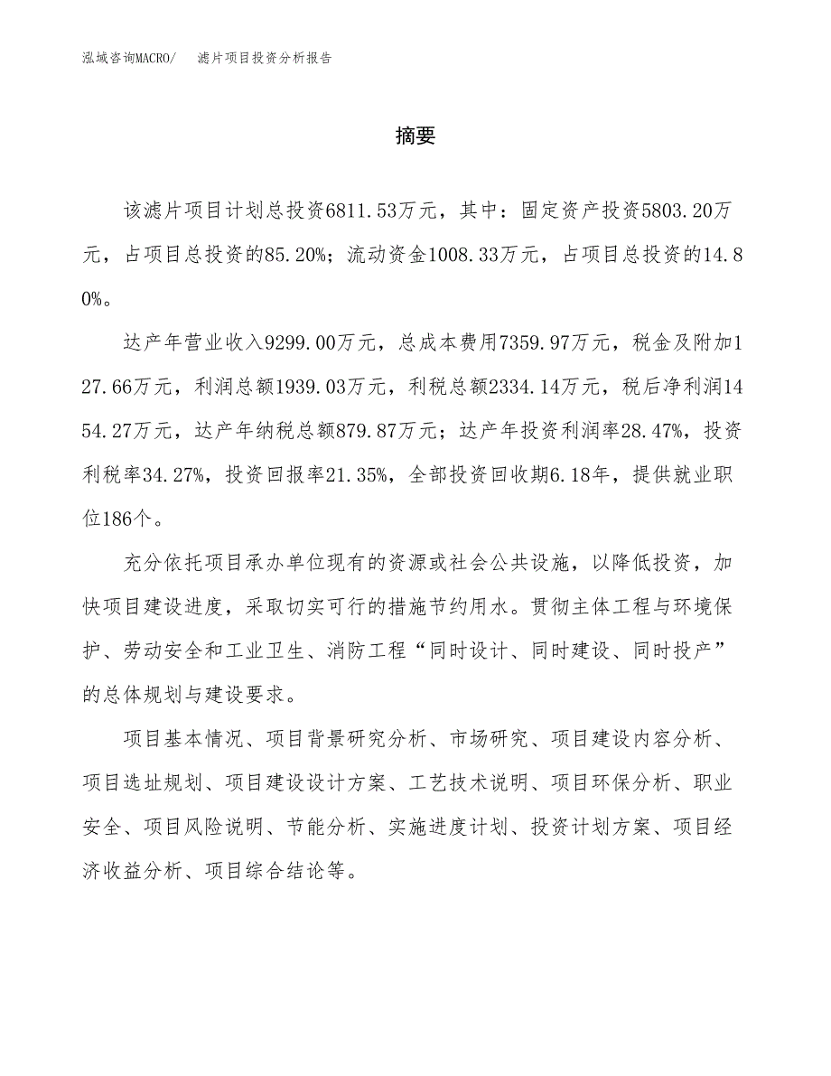 （模板）滤片项目投资分析报告_第2页