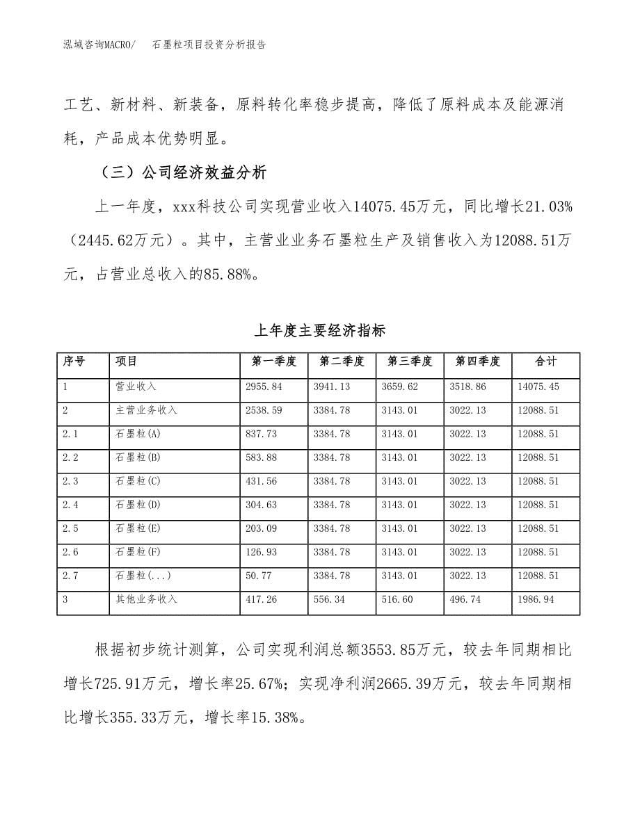 （模板）石墨粒项目投资分析报告_第5页