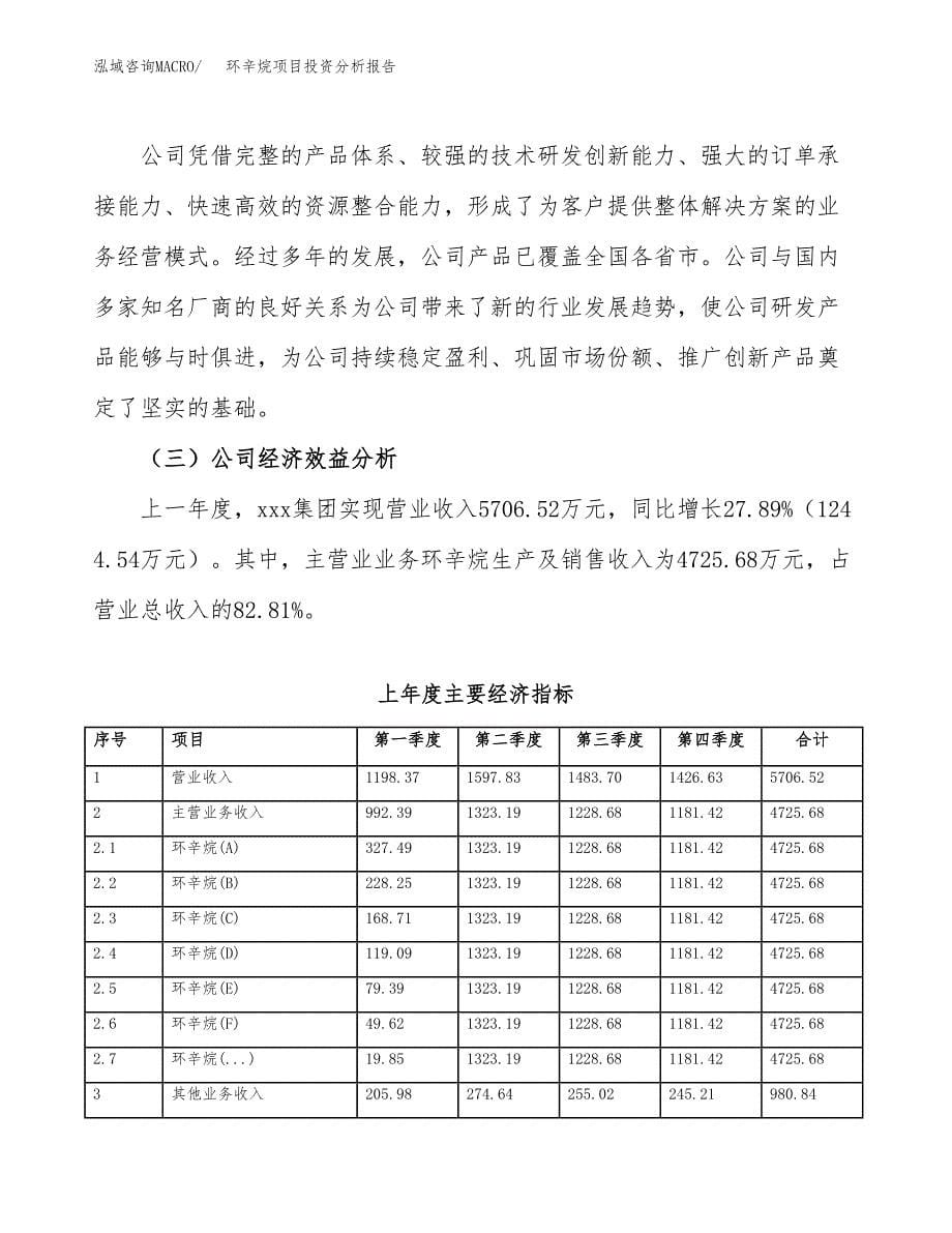 （模板）环辛烷项目投资分析报告_第5页