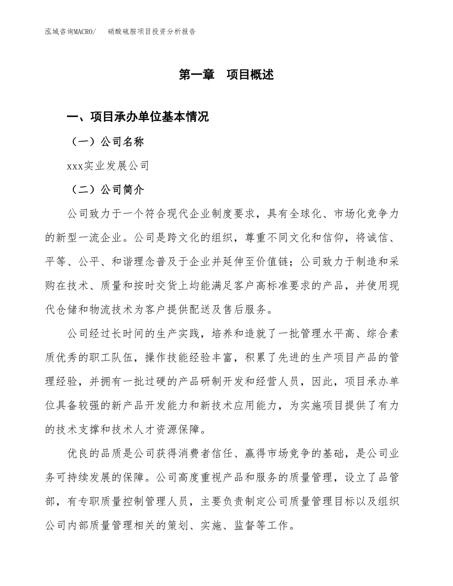 （模板）硝酸硫胺项目投资分析报告_第4页