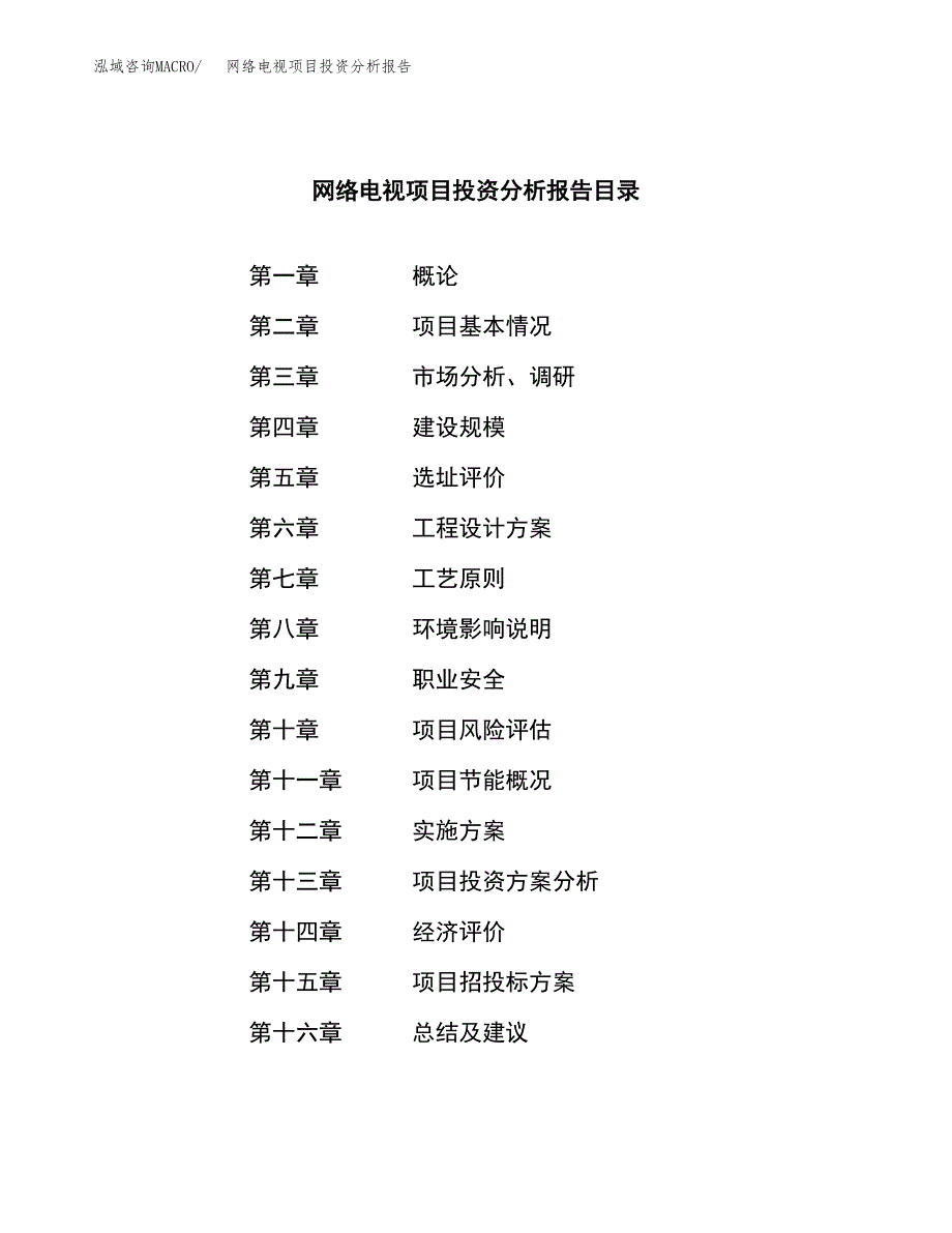 （模板）网络电视项目投资分析报告_第3页