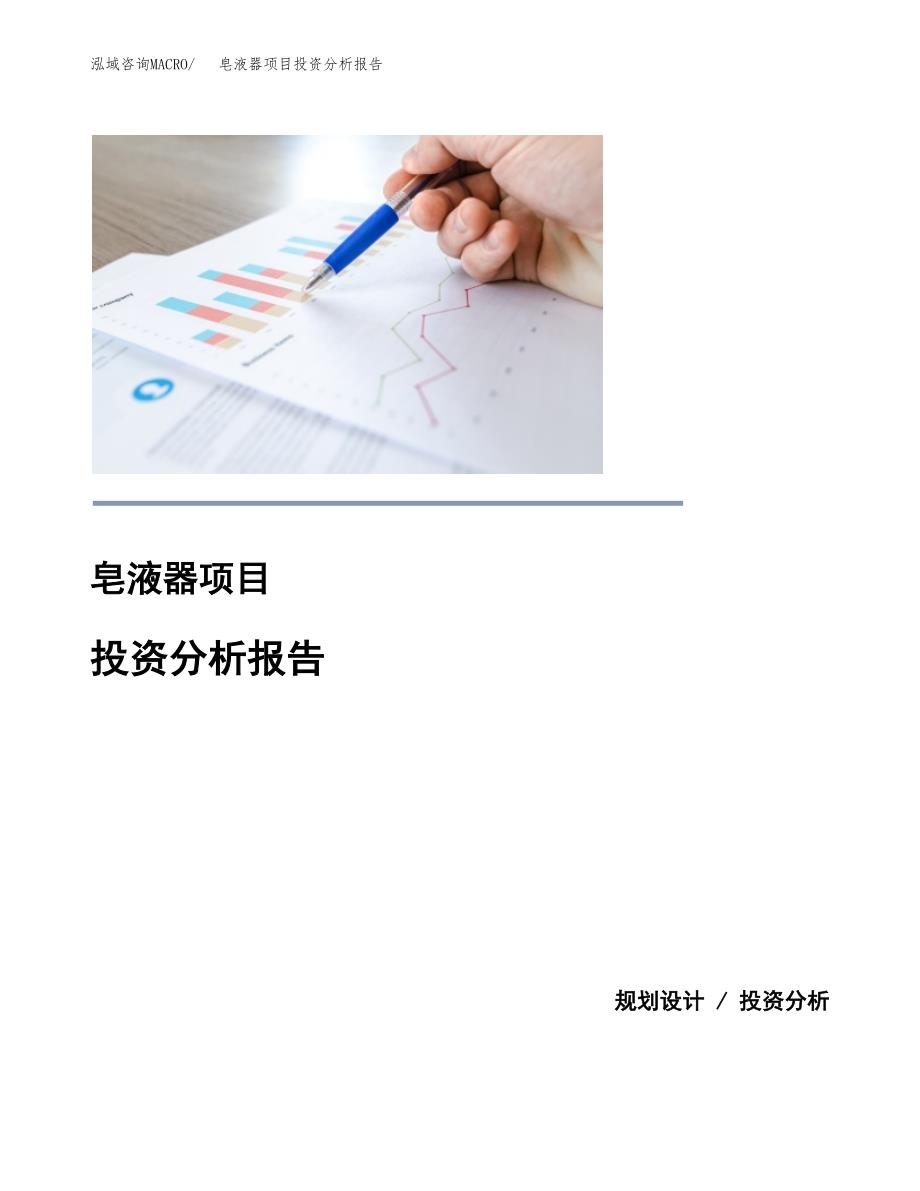 （模板）皂液器项目投资分析报告 (1)_第1页