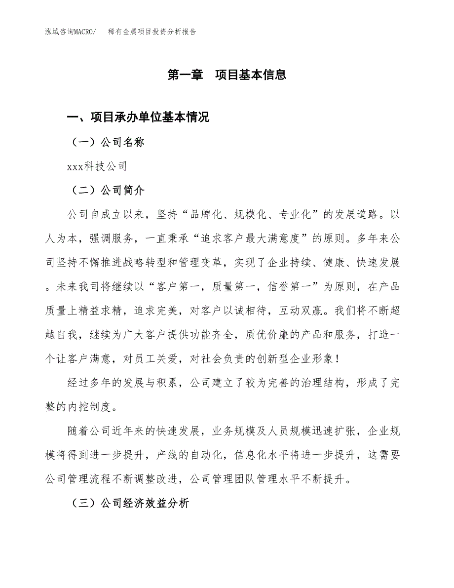 （模板）稀有金属项目投资分析报告_第4页