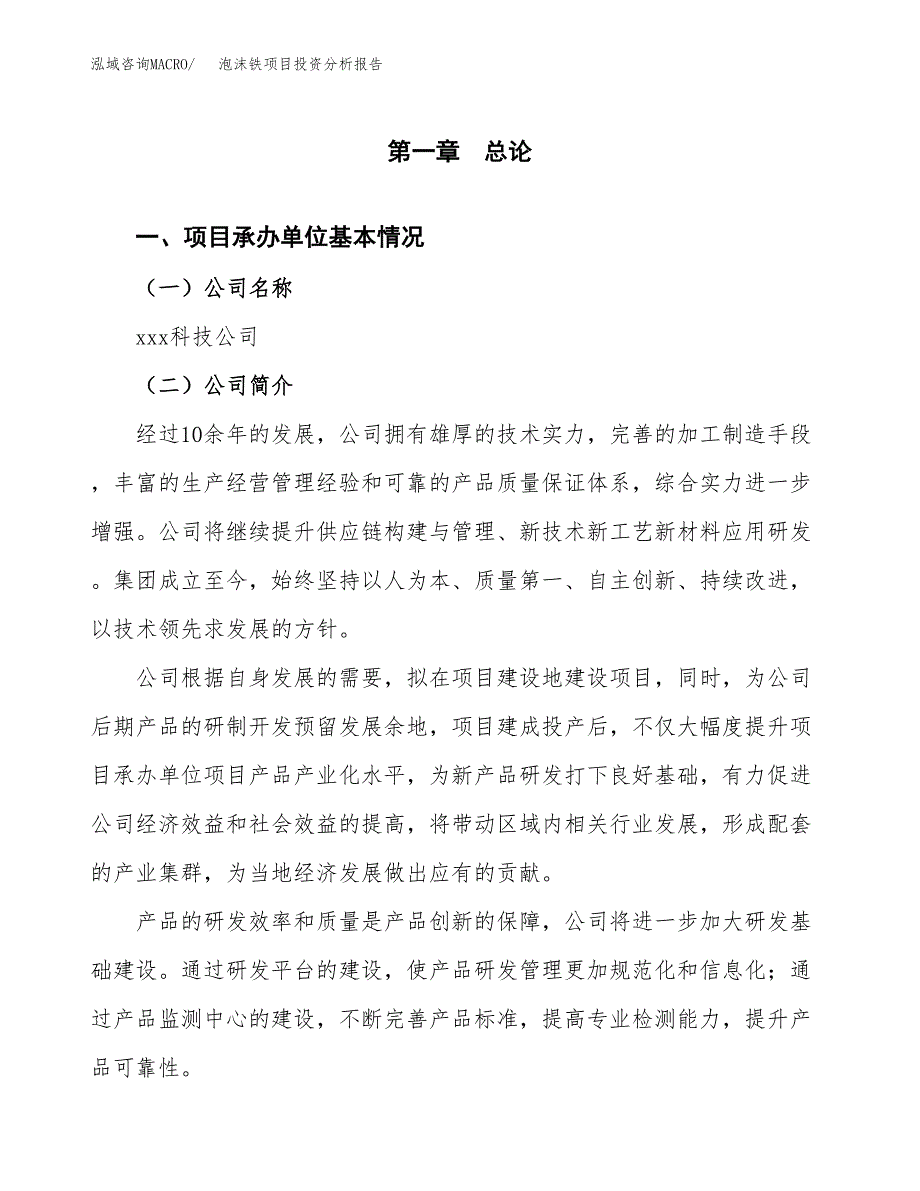 （模板）泡沫铁项目投资分析报告_第4页