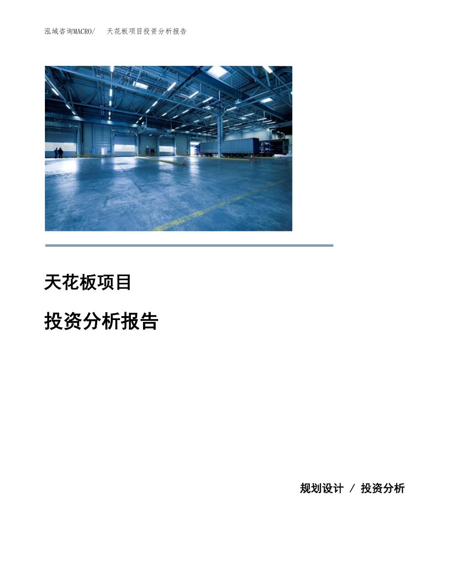 （模板）天花板项目投资分析报告 (1)_第1页