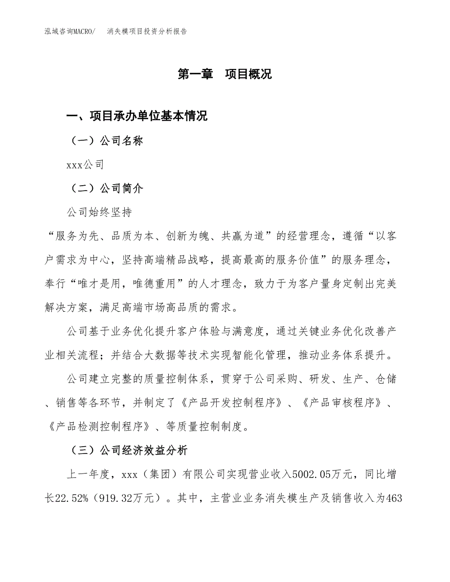 （模板）消失模项目投资分析报告 (1)_第4页