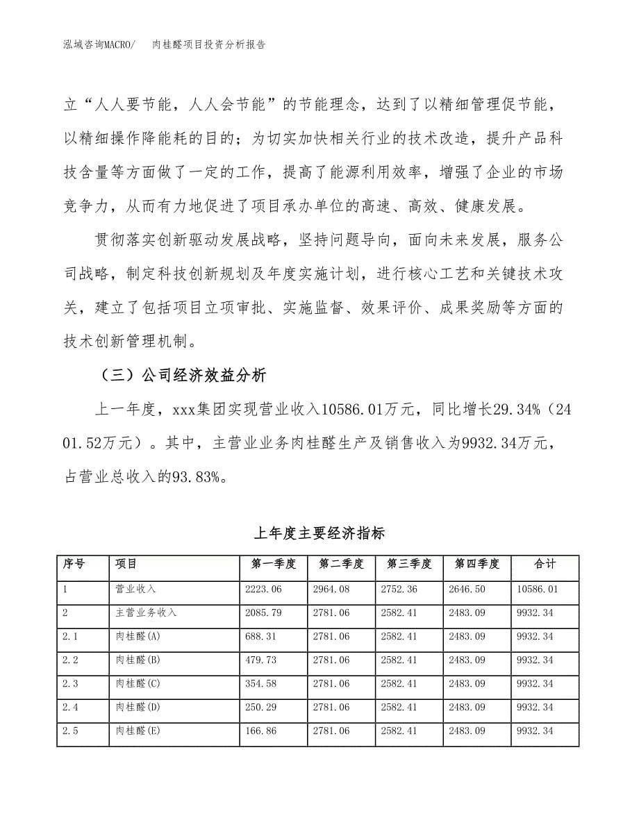 （模板）肉桂醛项目投资分析报告_第5页