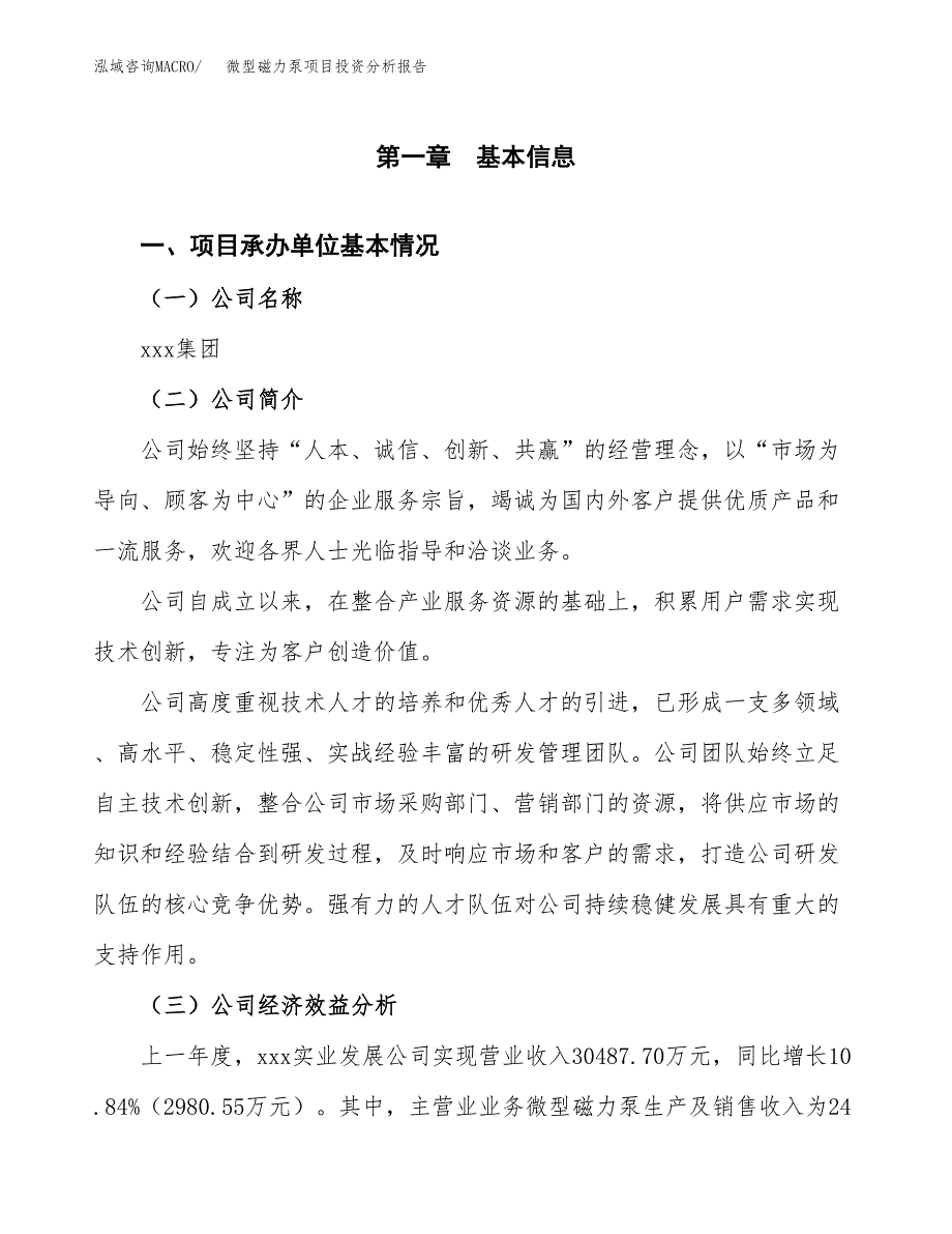 （模板）微型磁力泵项目投资分析报告_第4页