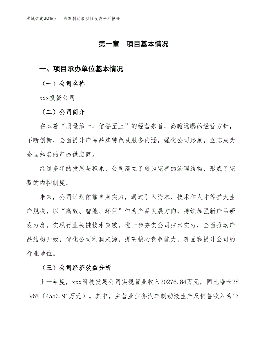 （模板）汽车制动液项目投资分析报告_第4页