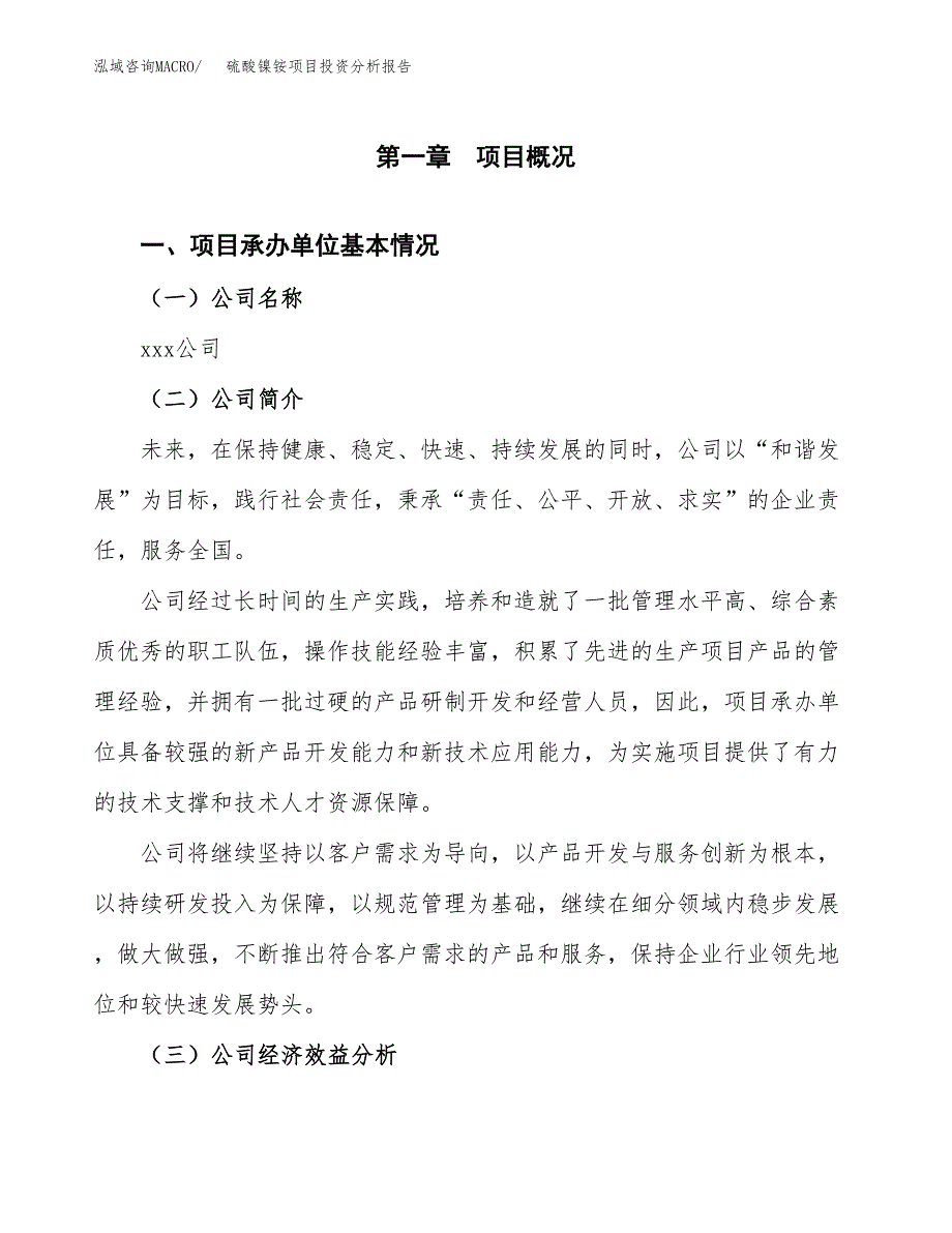 （模板）硫酸镍铵项目投资分析报告_第4页