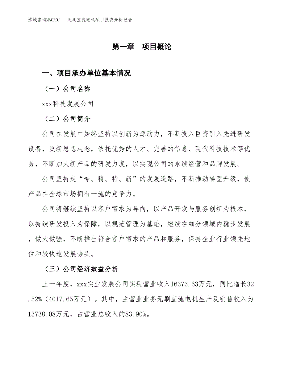 （模板）无刷直流电机项目投资分析报告_第4页