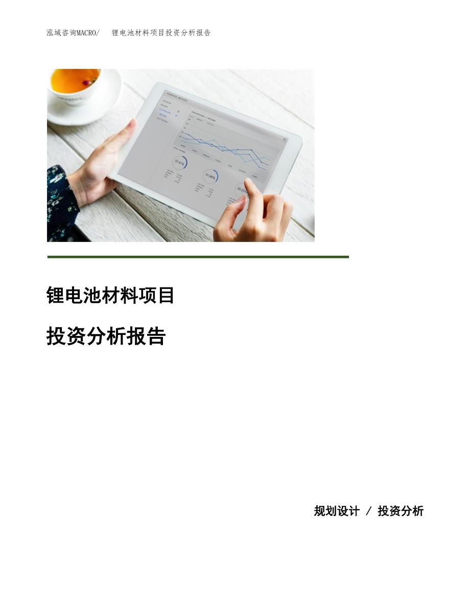 （模板）锂电池材料项目投资分析报告_第1页