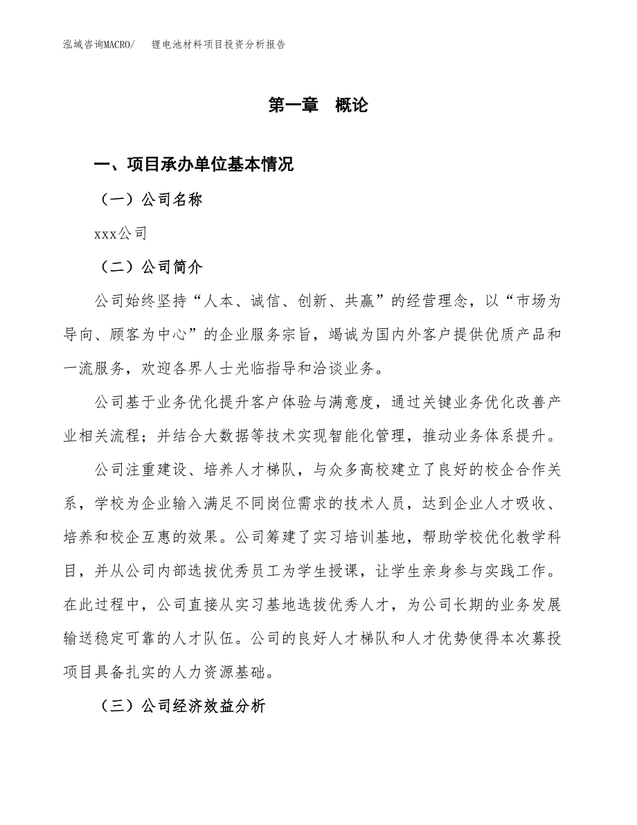 （模板）锂电池材料项目投资分析报告_第4页