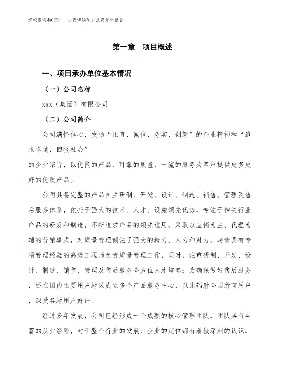 （模板）小麦啤酒项目投资分析报告_第4页