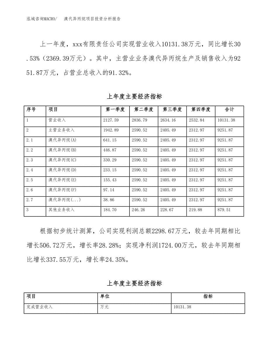 （模板）溴代异丙烷项目投资分析报告_第5页