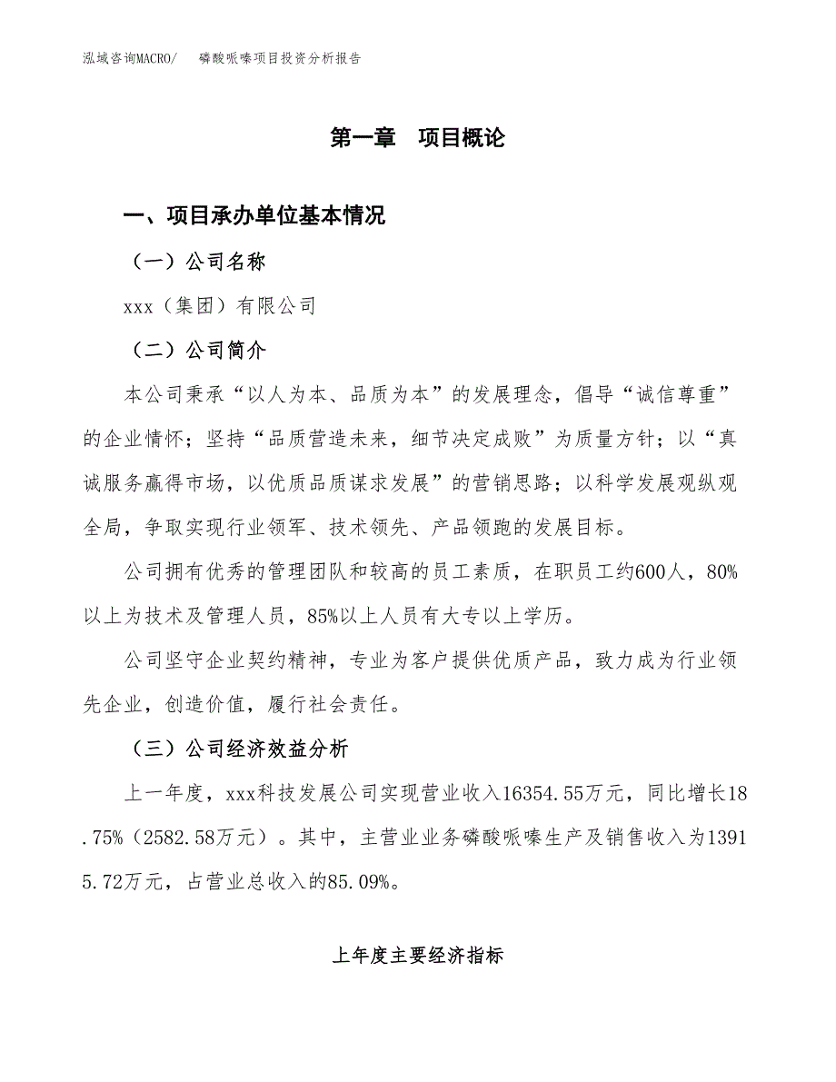 （模板）磷酸哌嗪项目投资分析报告_第4页