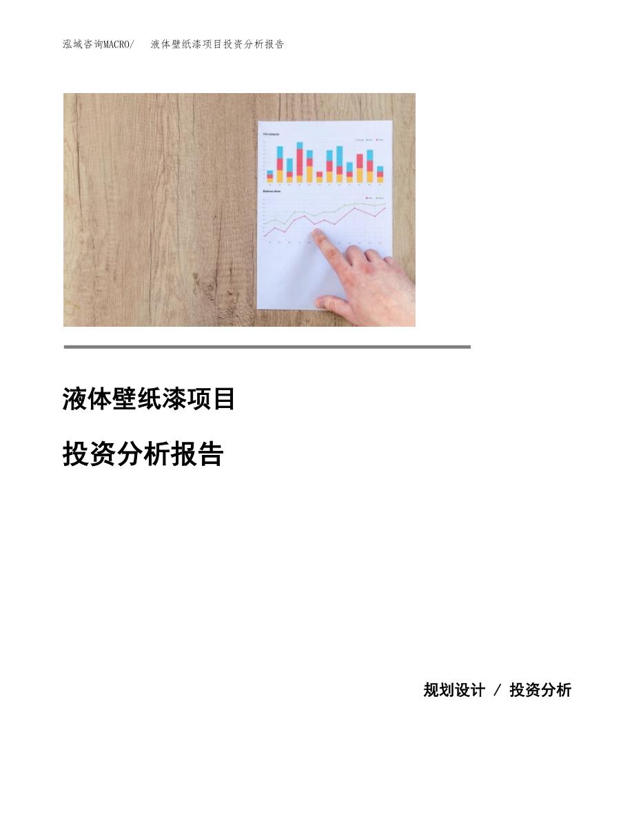 （模板）液体壁纸漆项目投资分析报告_第1页