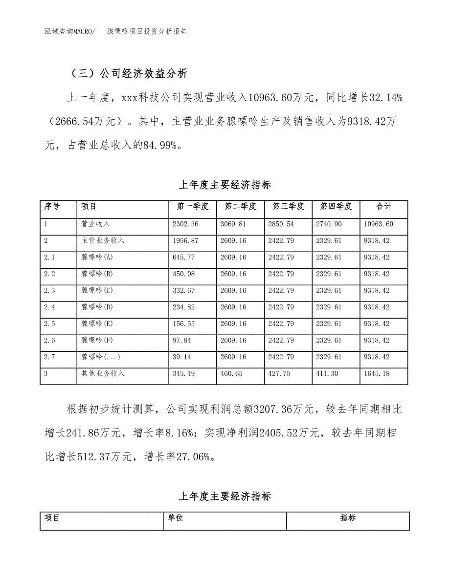 （模板）腺嘌呤项目投资分析报告_第5页