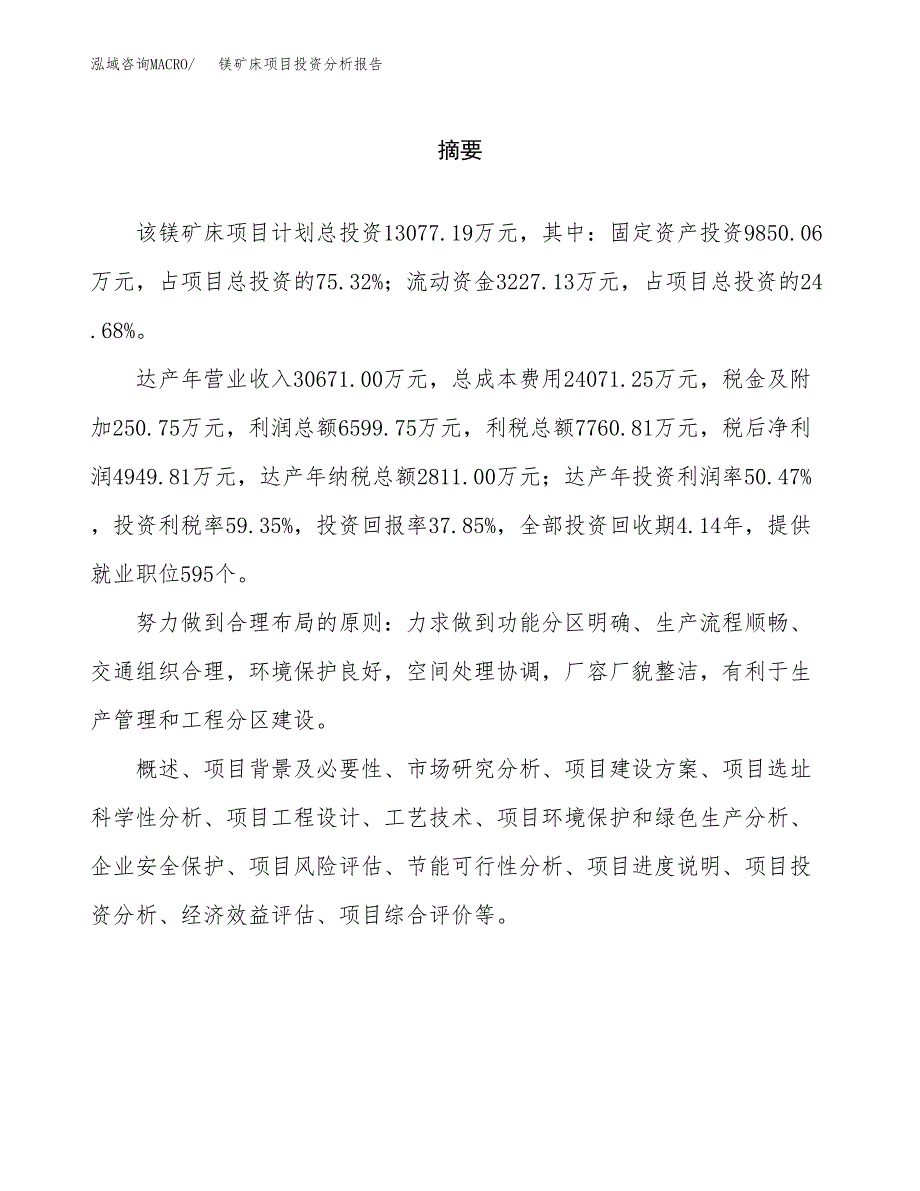 （模板）镁矿床项目投资分析报告_第2页